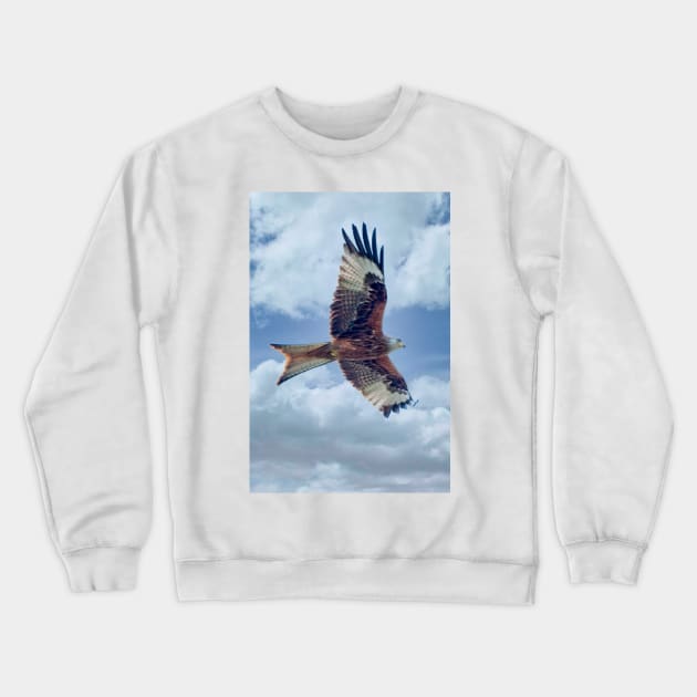 Red Kite Bird of Prey Crewneck Sweatshirt by MartynUK